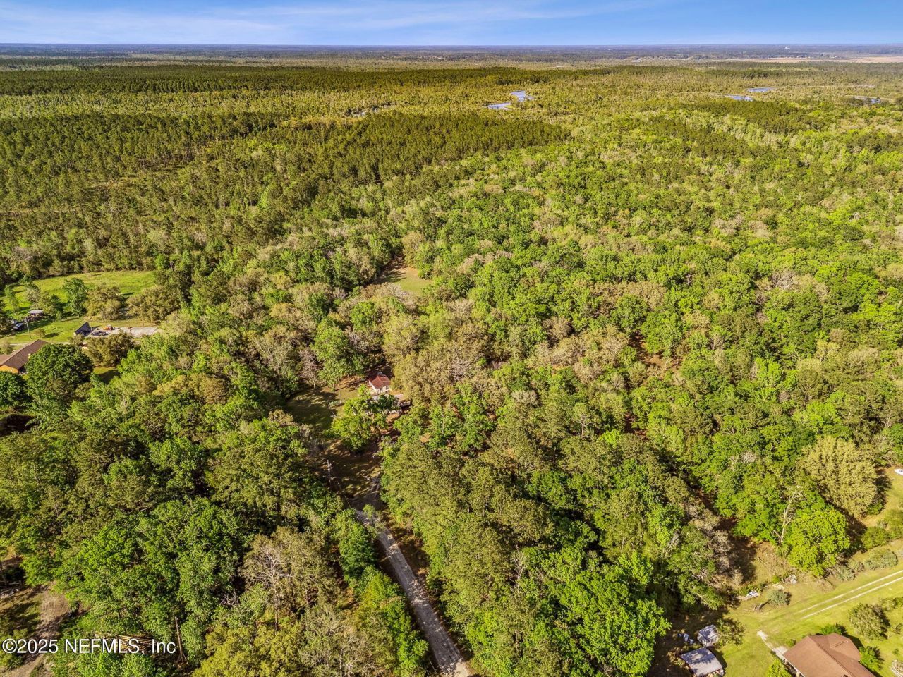 17263 Black Cow Trail, Jacksonville, FL 32218 Photo