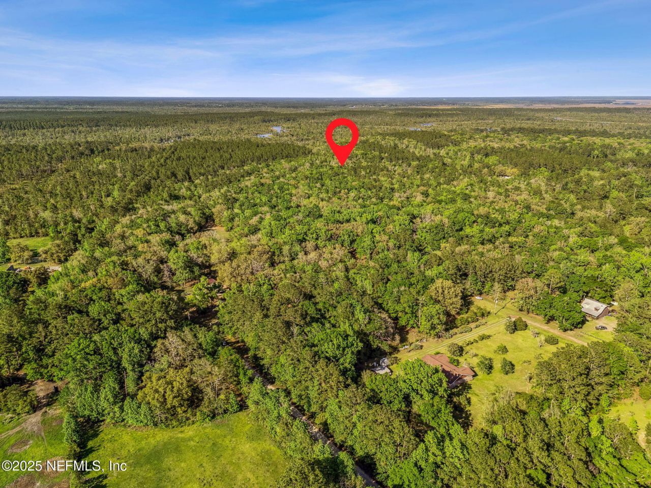 17263 Black Cow Trail, Jacksonville, FL 32218 Photo