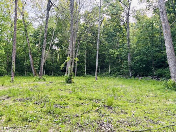 0 Laurel Road, Laurel, IN 47024