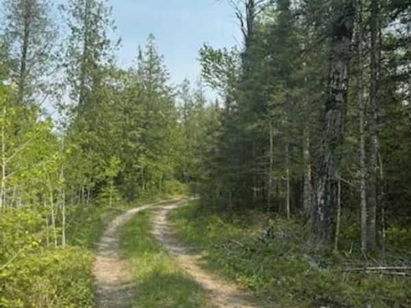 TBD W M-134 HWY, Hessel, MI 49745