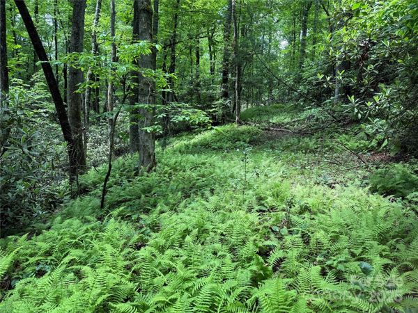 TBD Caroline Lane, Pisgah Forest, NC 28768