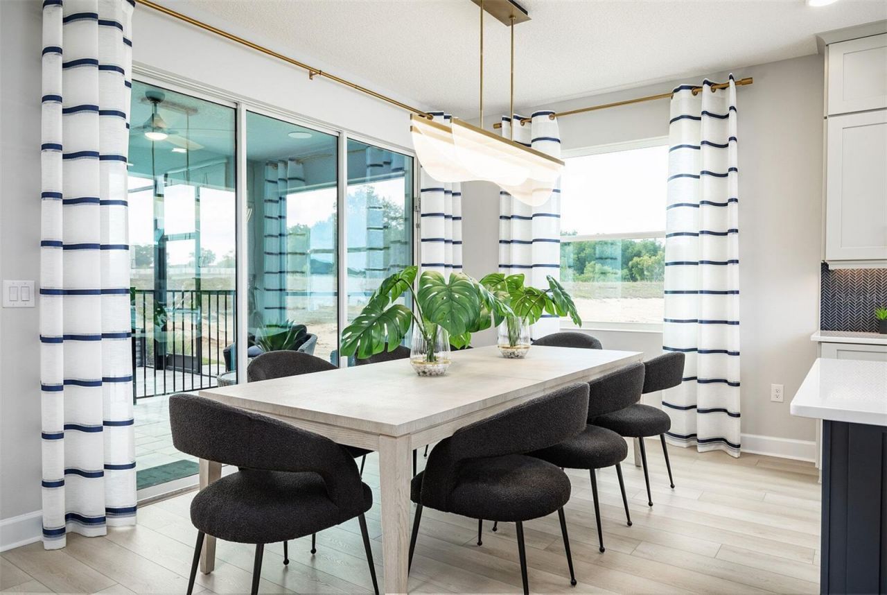 842 Creeping Fig Street, Apopka, FL 32703 Photo