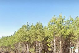 00 Coach Road photo 4