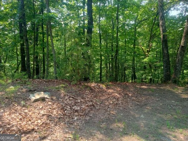 LT 1227 Hilton Drive, Unit 1227, Ranger, GA 30734