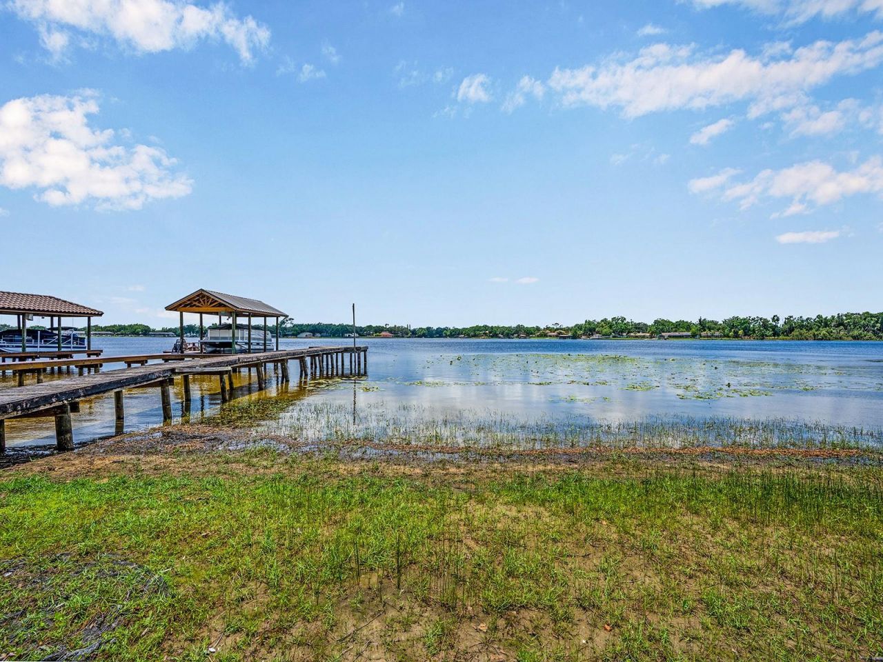 14808 Lake Magdalene Circle, Tampa, FL 33613 Photo