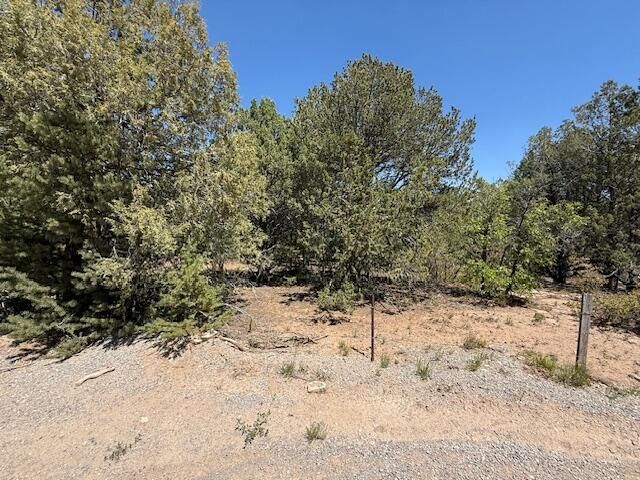 15 Memory Lane, Tijeras, NM 87059 Main Photo