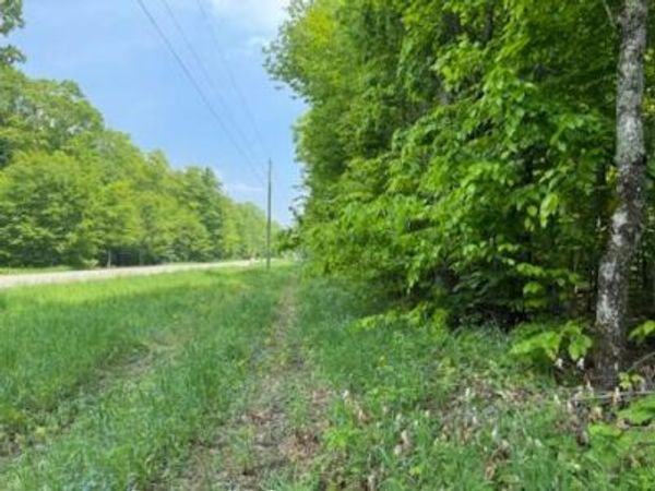 000 Co. Rd 98, McMillan, MI 49853