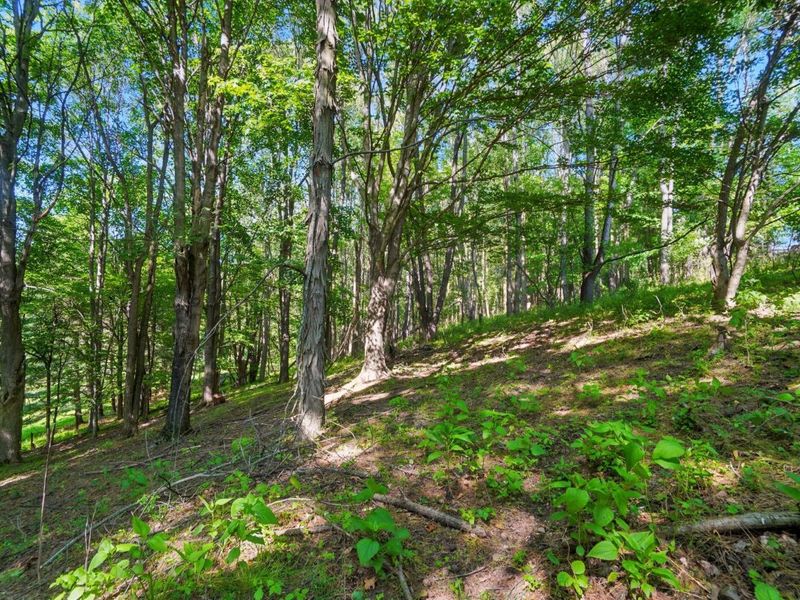 1801 River Road, Granville, OH 43023 Photo 12