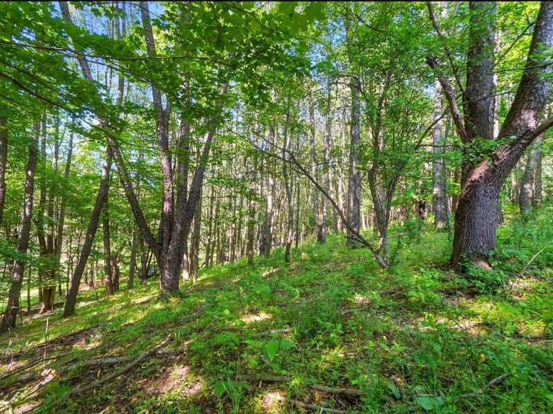 1801 River Road, Granville, OH 43023 Photo 13