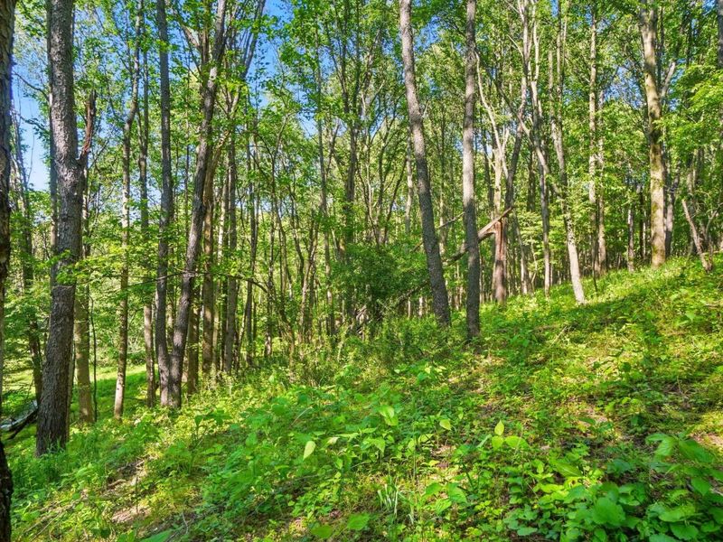 1801 River Road, Granville, OH 43023 Photo 16