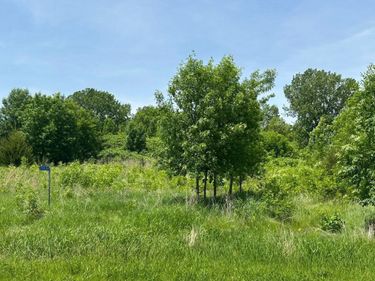 29036 Biehn Drive, Madison Lake, MN 56063