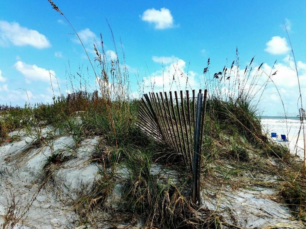 585 Corbin Park Road, New Smyrna Beach, FL 32168 Photo