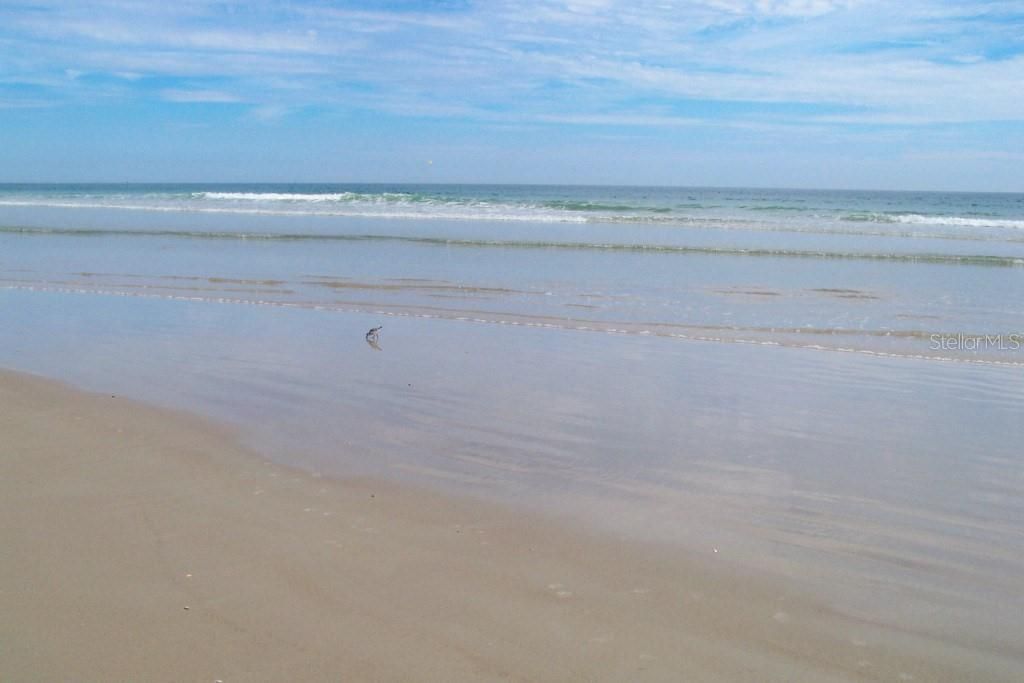 585 Corbin Park Road, New Smyrna Beach, FL 32168 Photo