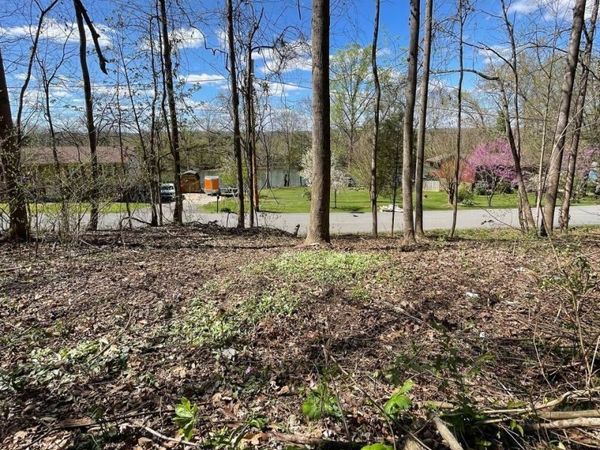 Tbd Kings Bay Drive, Kingsport, TN 37660