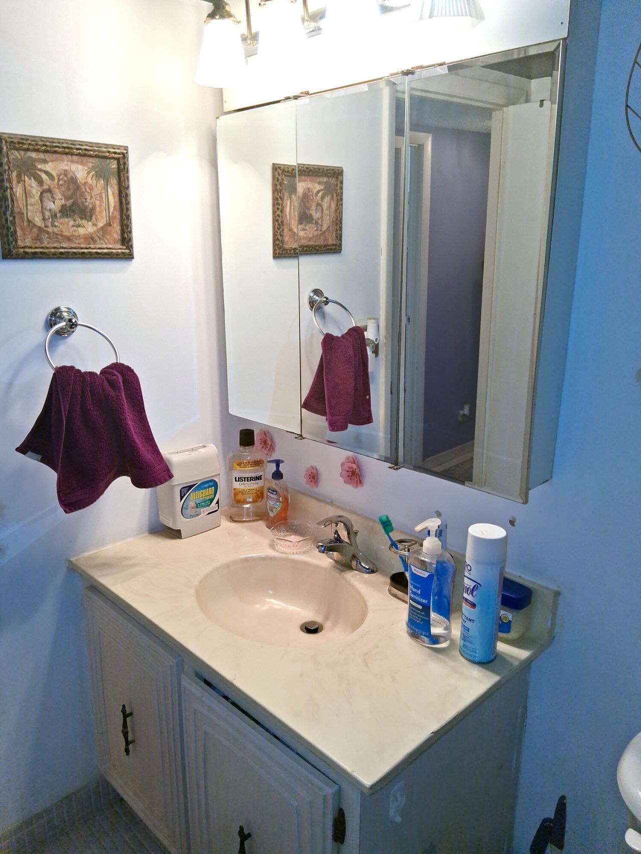 3821 Environ Boulevard, Unit 203, Lauderhill, FL 33319 Photo