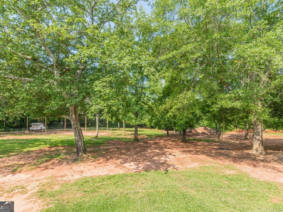 Property Image 81