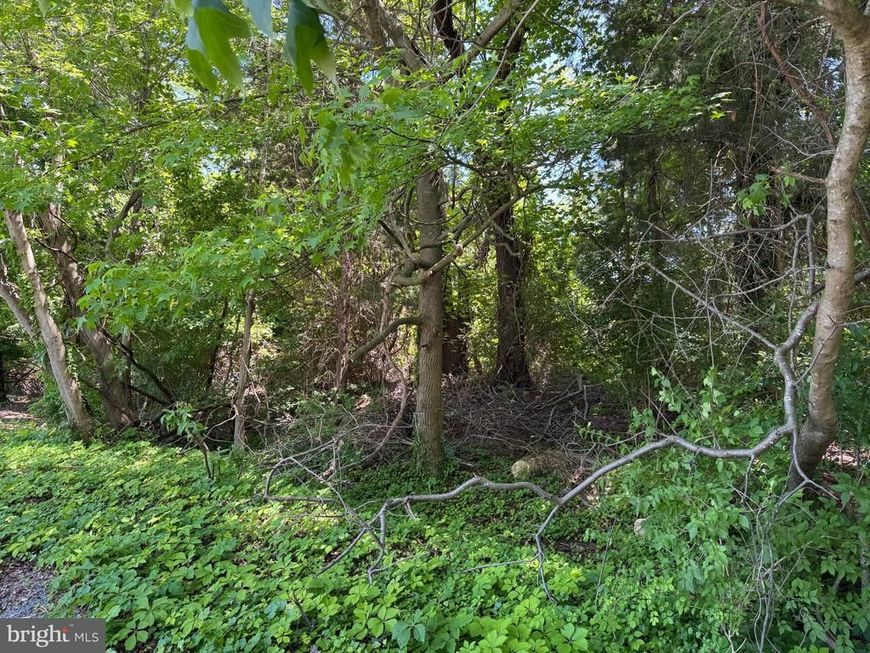 0 Ackerman Drive, Stevensville, MD 21666 Main Photo