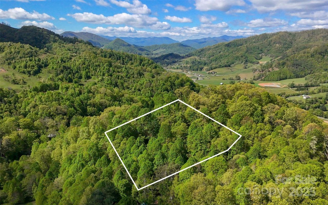 72 Lonesome Pines Road, Clyde, NC 28721 Main Photo