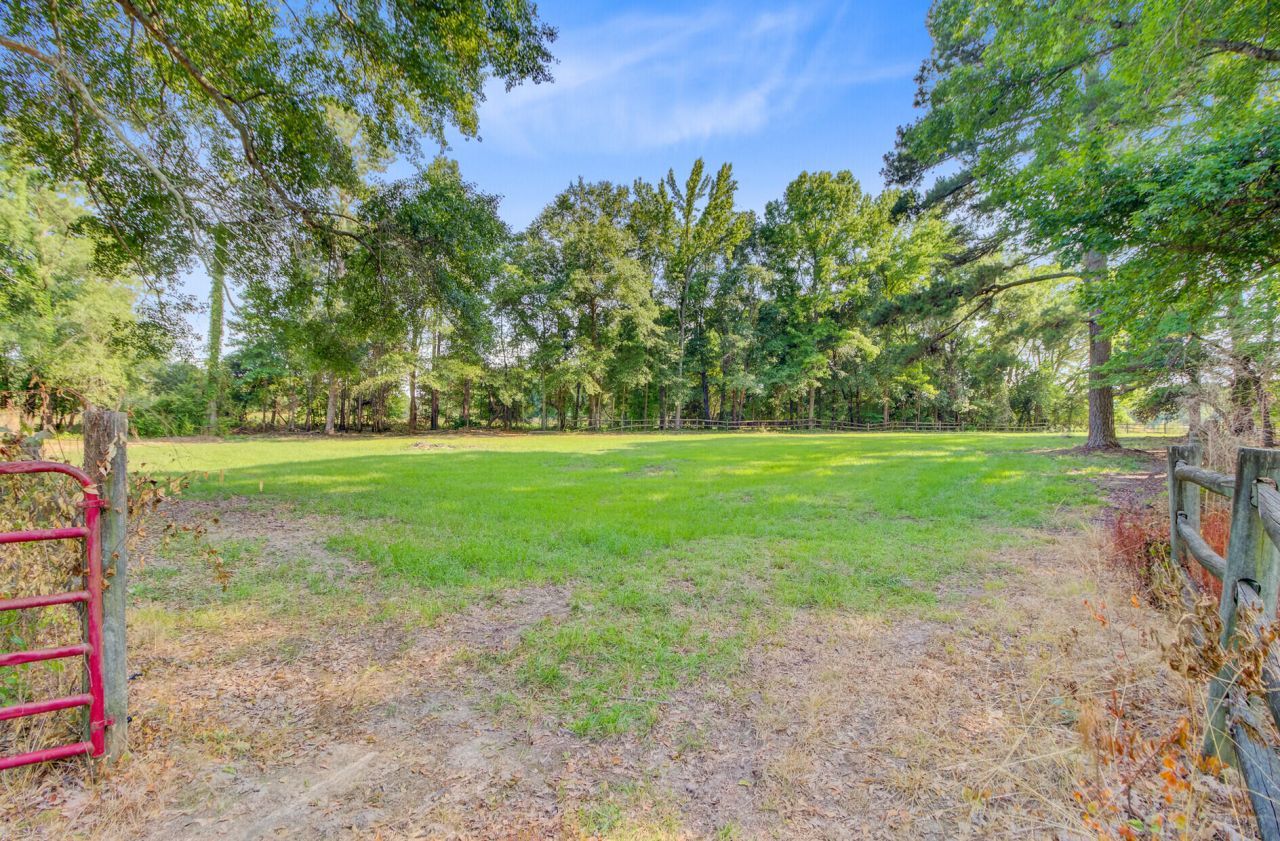 481 Cantey Lane Photo 102