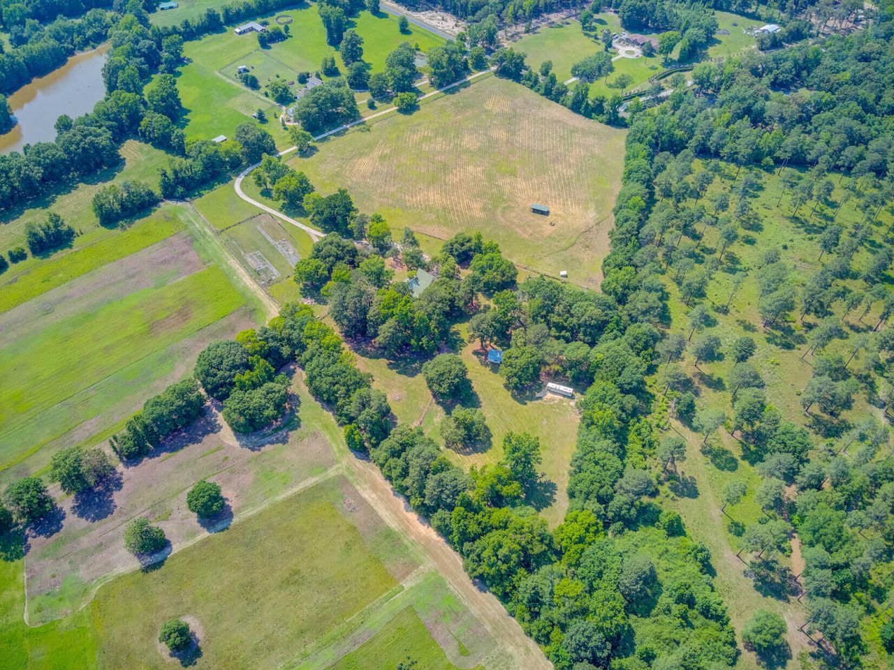 481 Cantey Lane Photo 118