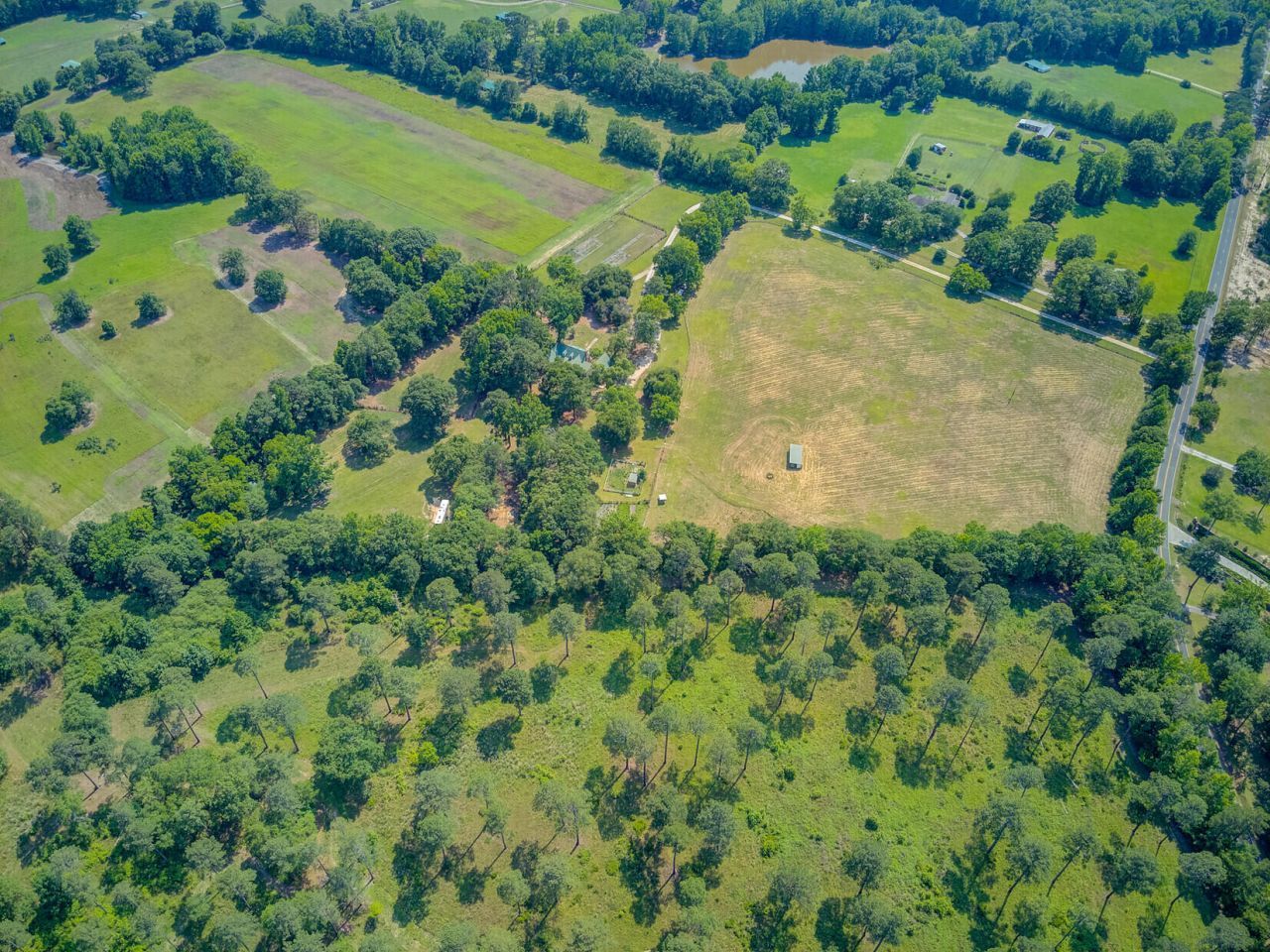 481 Cantey Lane Photo 119