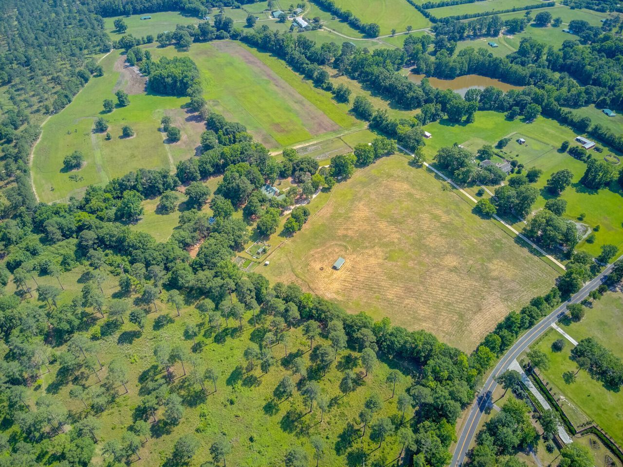 481 Cantey Lane Photo 120