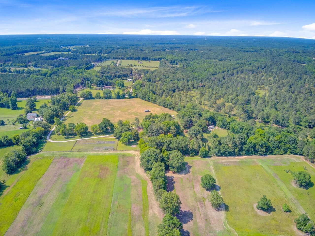 481 Cantey Lane Photo 126