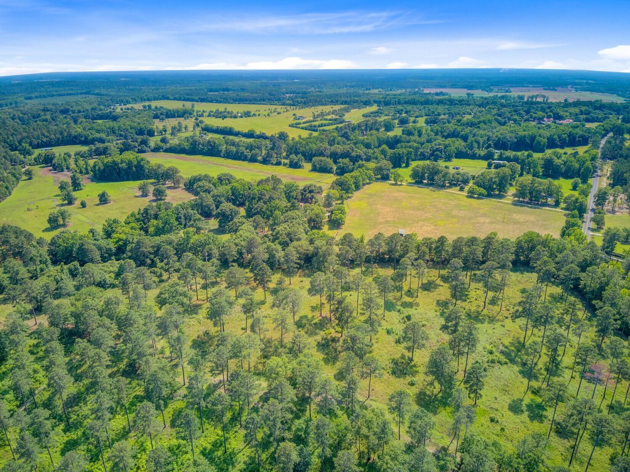 481 Cantey Lane Photo 128