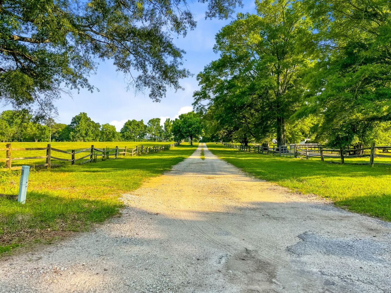 481 Cantey Lane Photo 81