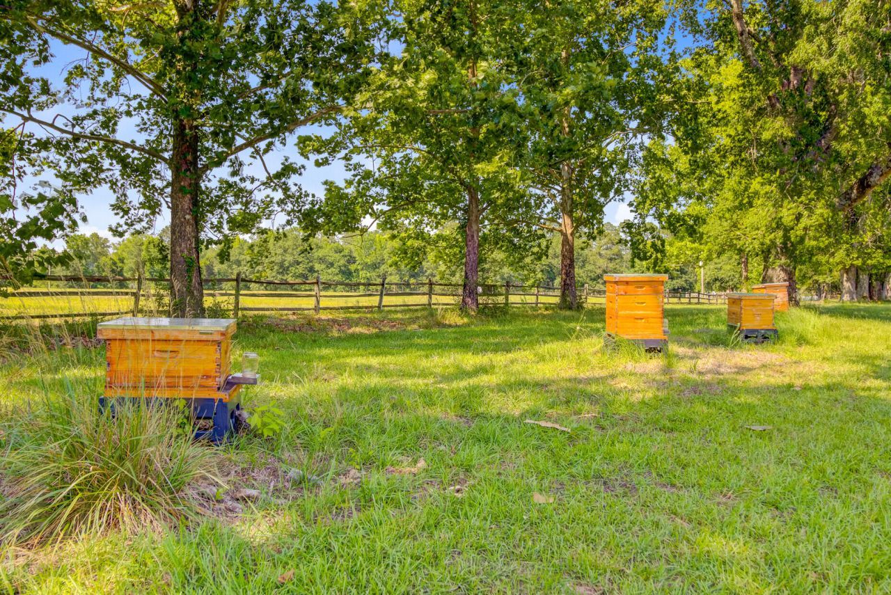 481 Cantey Lane Photo 82