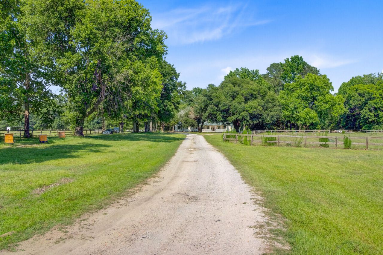 481 Cantey Lane Photo 83