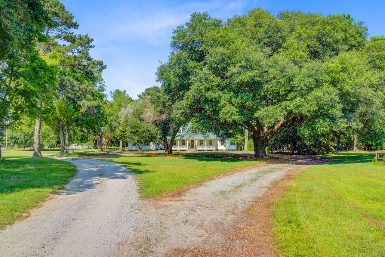 481 Cantey Lane Photo 85