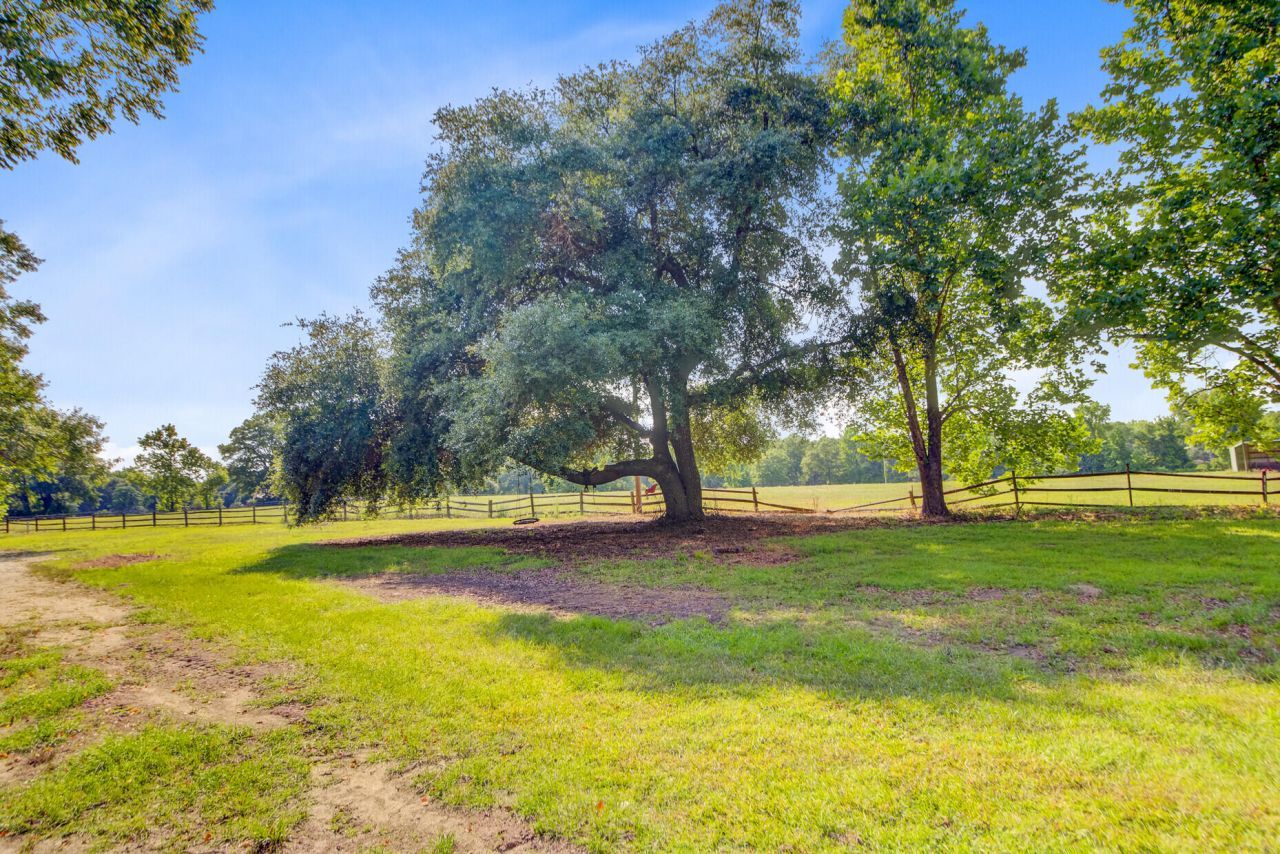 481 Cantey Lane Photo 88