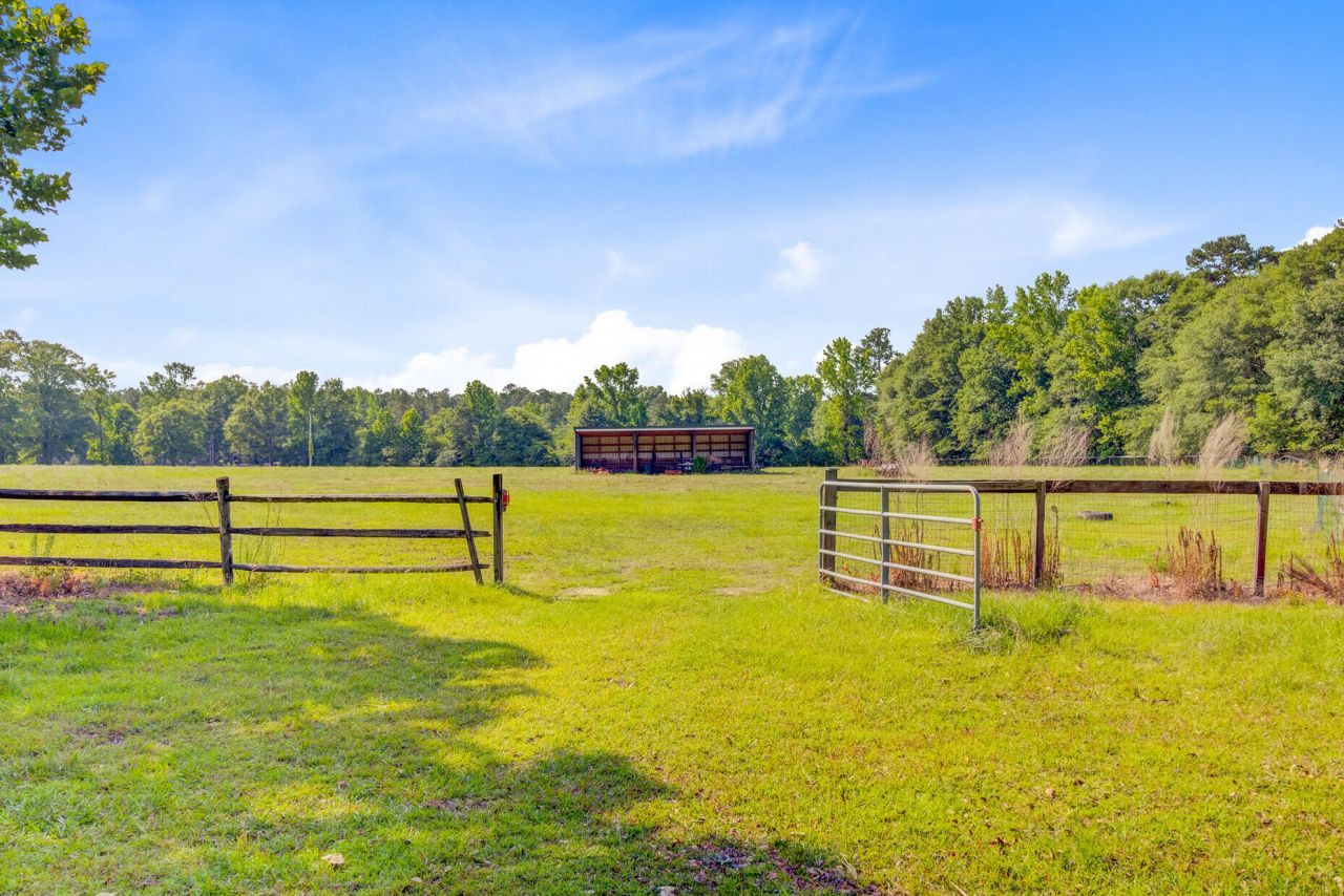 481 Cantey Lane Photo 89