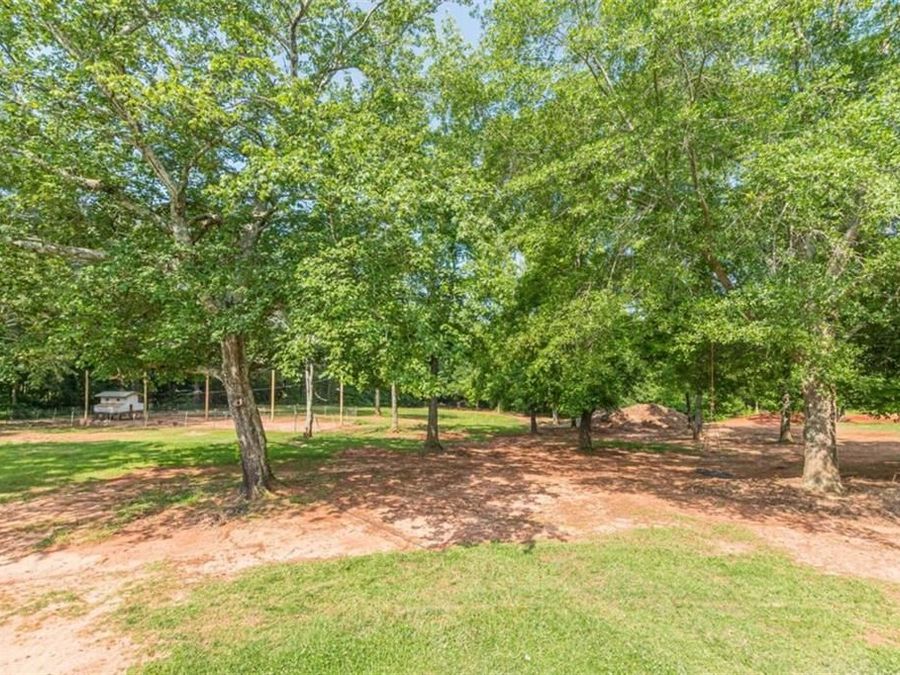 Property Image 80