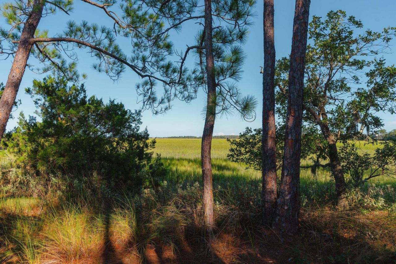 0 Stono River Drive Photo 12