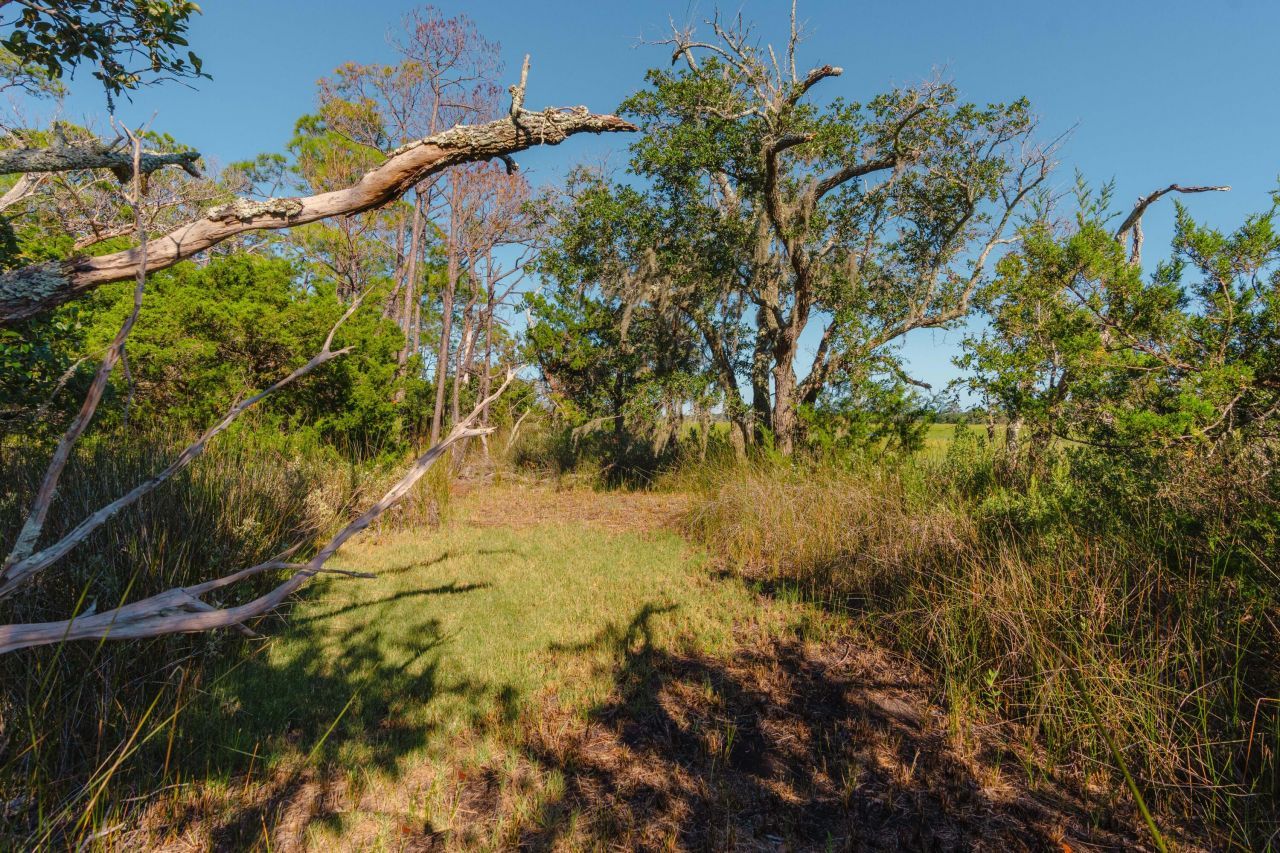 0 Stono River Drive Photo 13