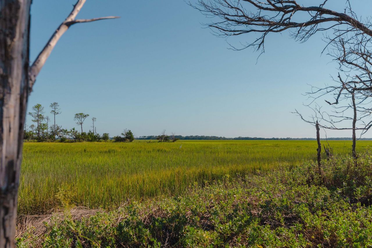 0 Stono River Drive Photo 14