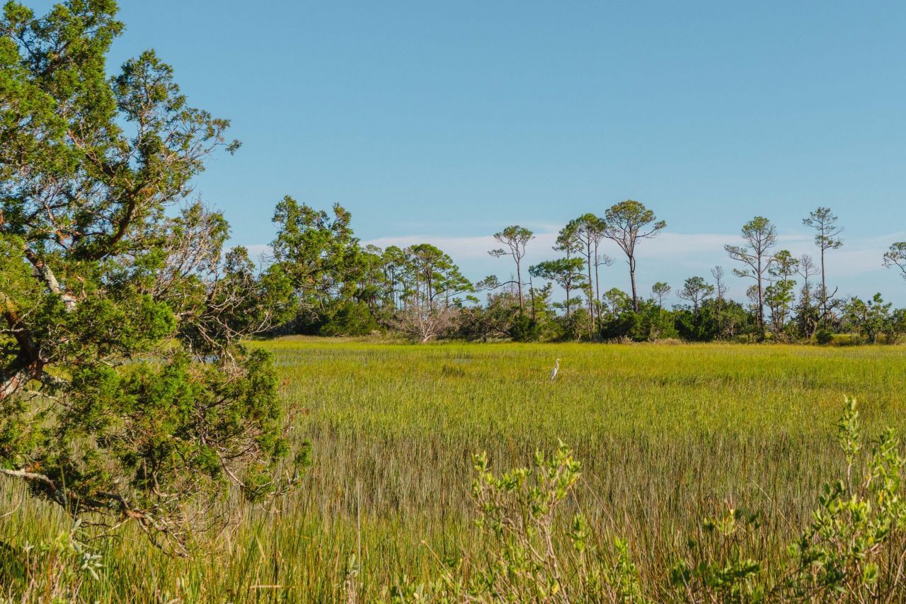 0 Stono River Drive Photo 17