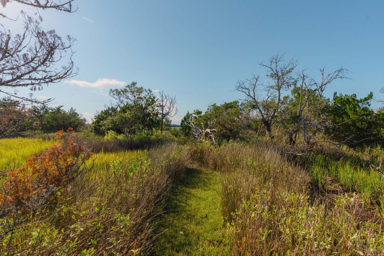 0 Stono River Drive Photo 20