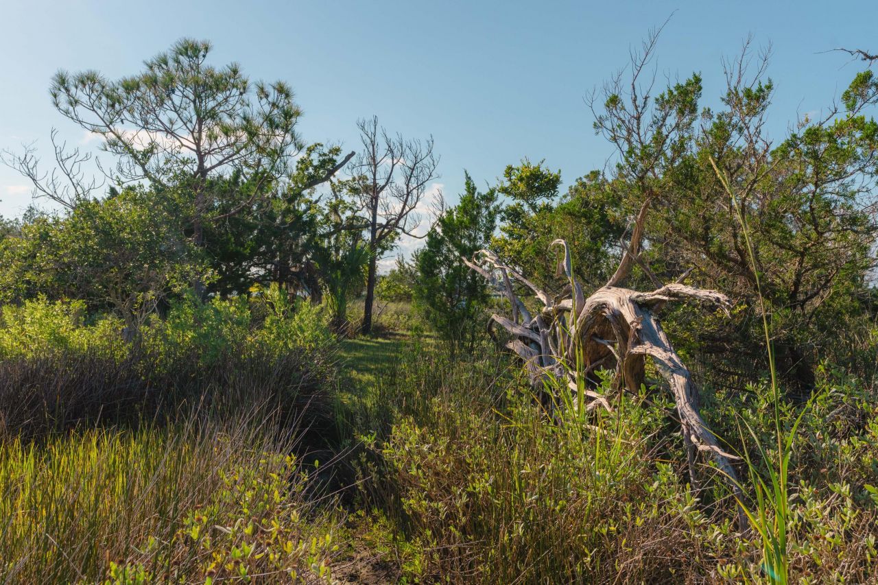 0 Stono River Drive Photo 21