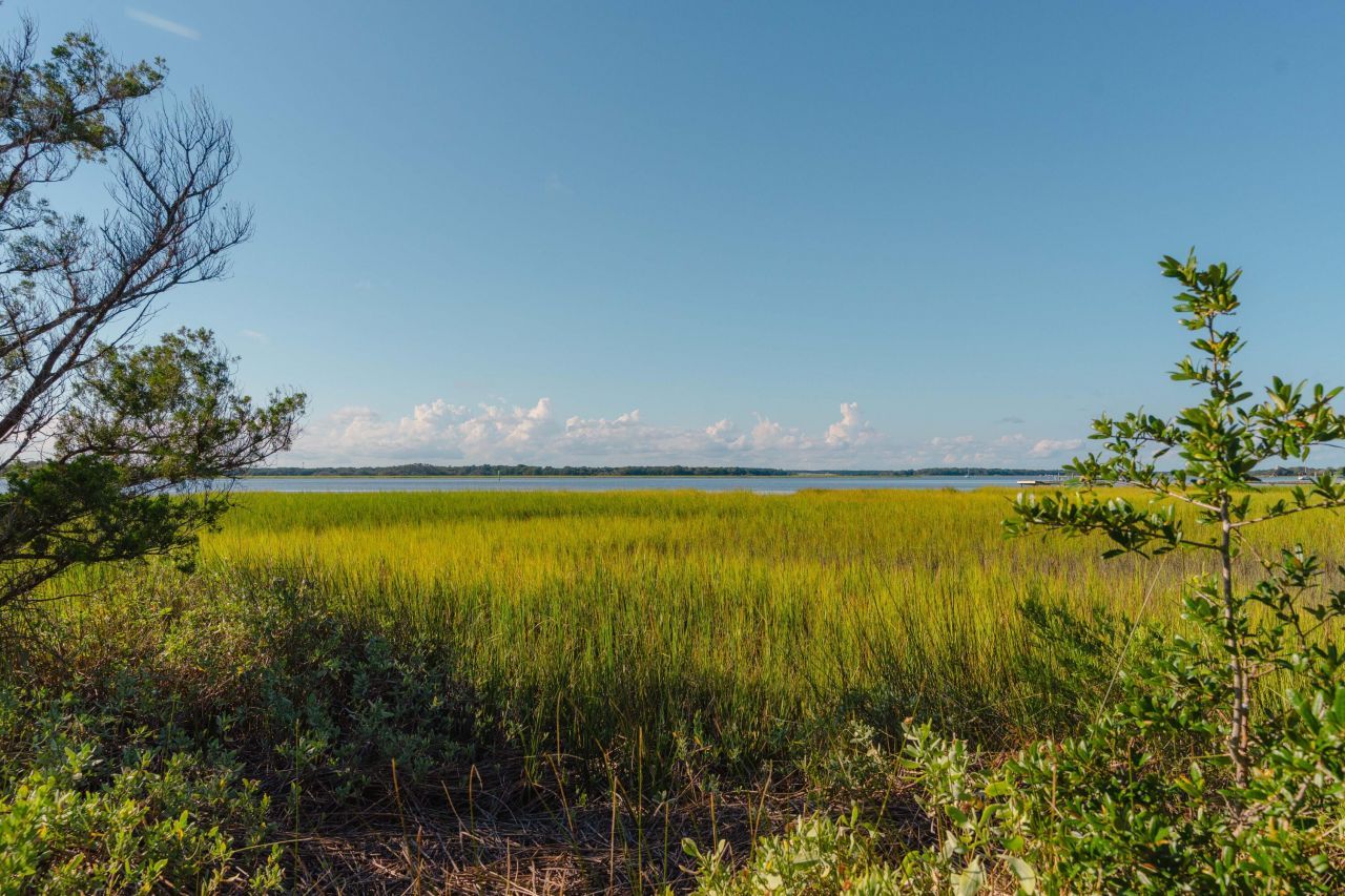 0 Stono River Drive Photo 25
