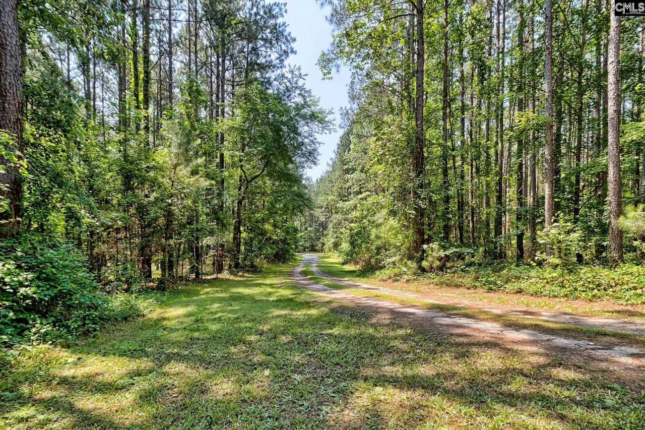 6268 Hope Road Photo 60