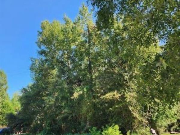 Lot 14 JEFFERSON Avenue, Slidell, LA 70460