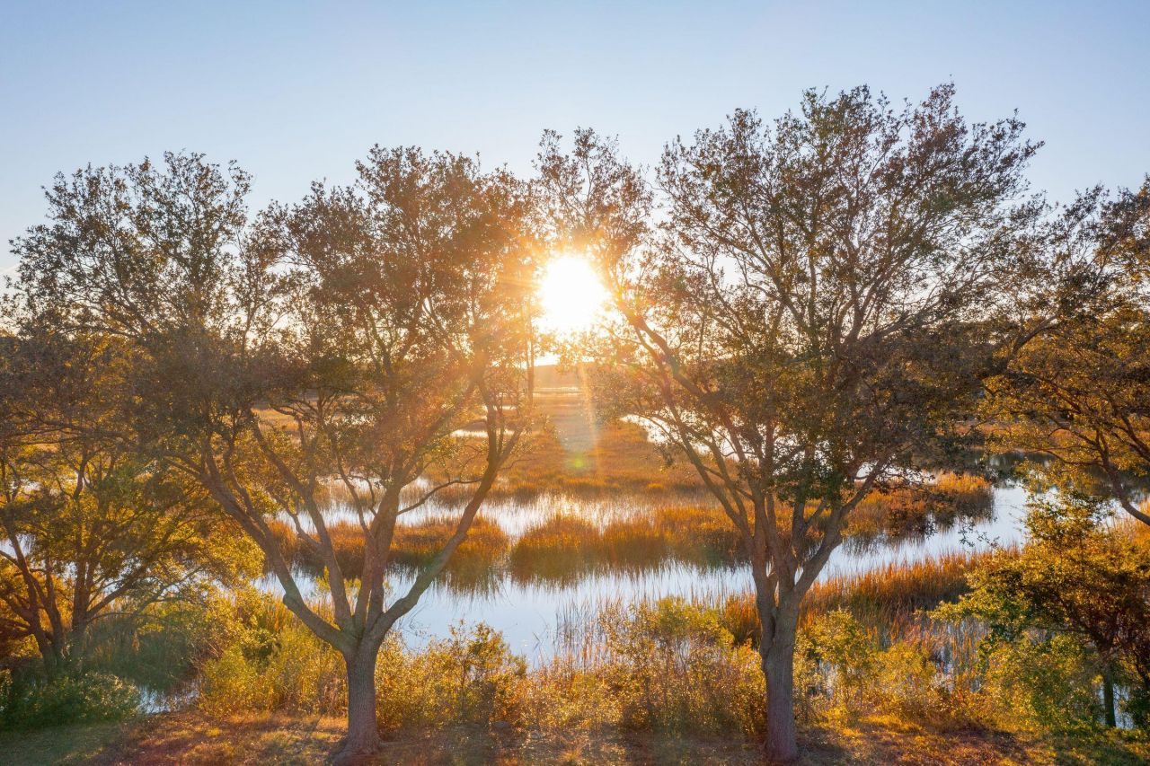 810 Curved Creek Court Photo 2