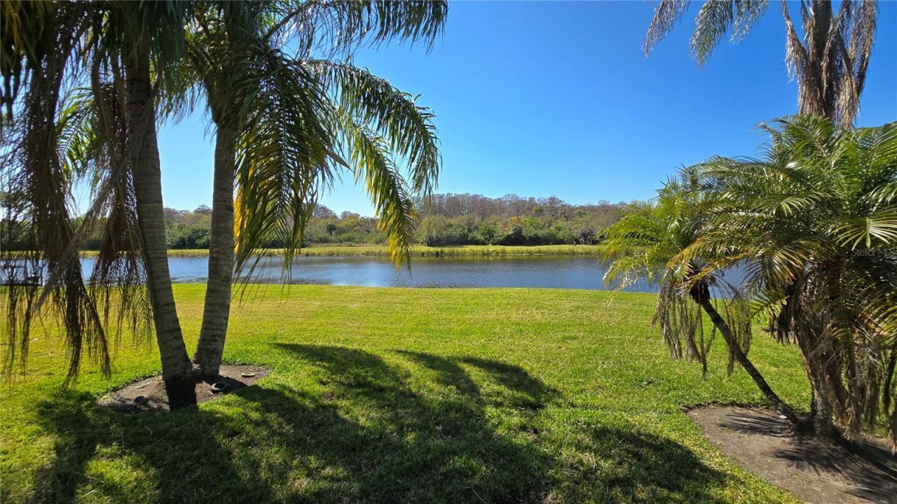 1648 Lago Vista Boulevard, Palm Harbor, FL 34685 Photo