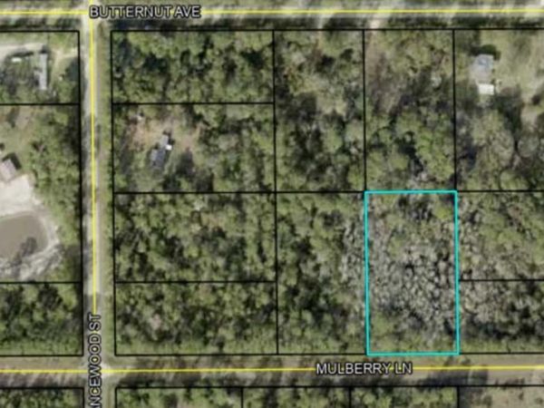 5414 MULBERRY LANE, BUNNELL, FL 32110