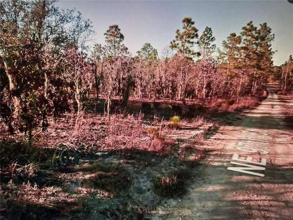 03381-235-00 NE 97TH COURT, BRONSON, FL 32621