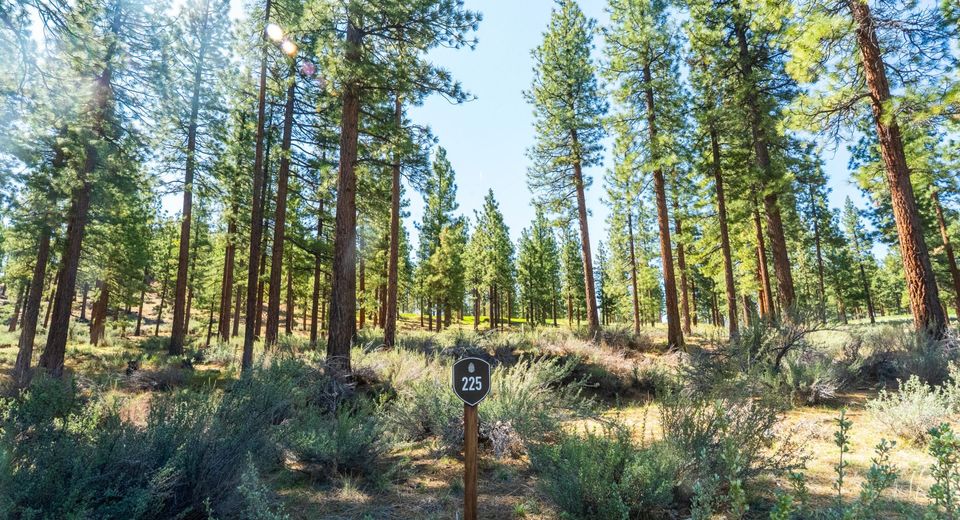 249 Redding Way, Lot #225, Carson City, NV 89705 Photo