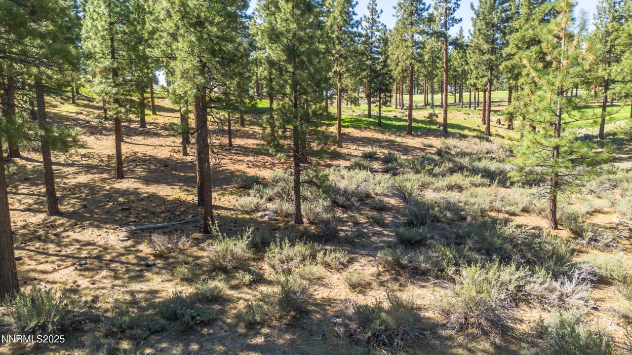 249 Redding Way, Lot #225, Carson City, NV 89705 Photo